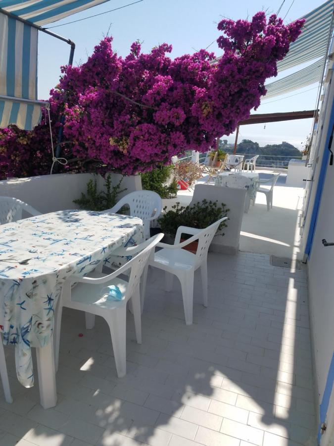 Casadelpino Residence La Piana Ponza Zewnętrze zdjęcie